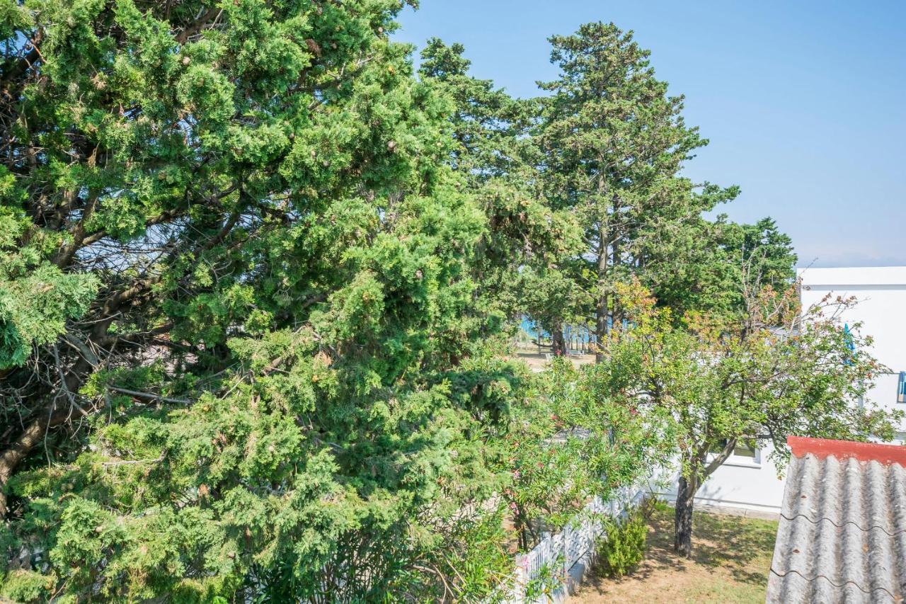 Apartments Mira Привлака Екстер'єр фото